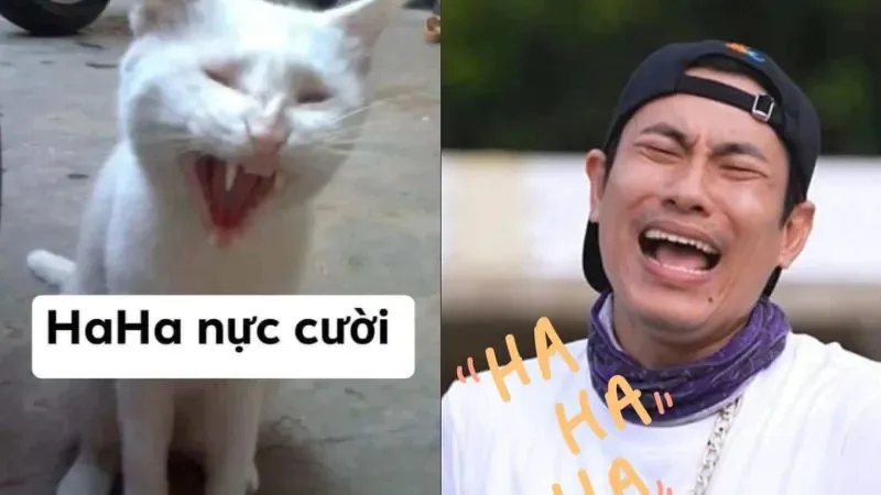 hahaha meme