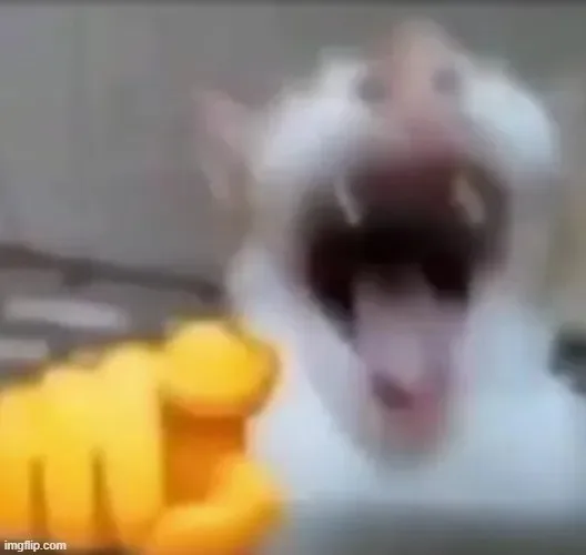 hahaha meme