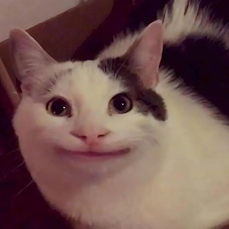 meme hihi