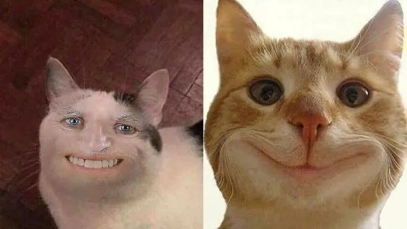 meme hihi