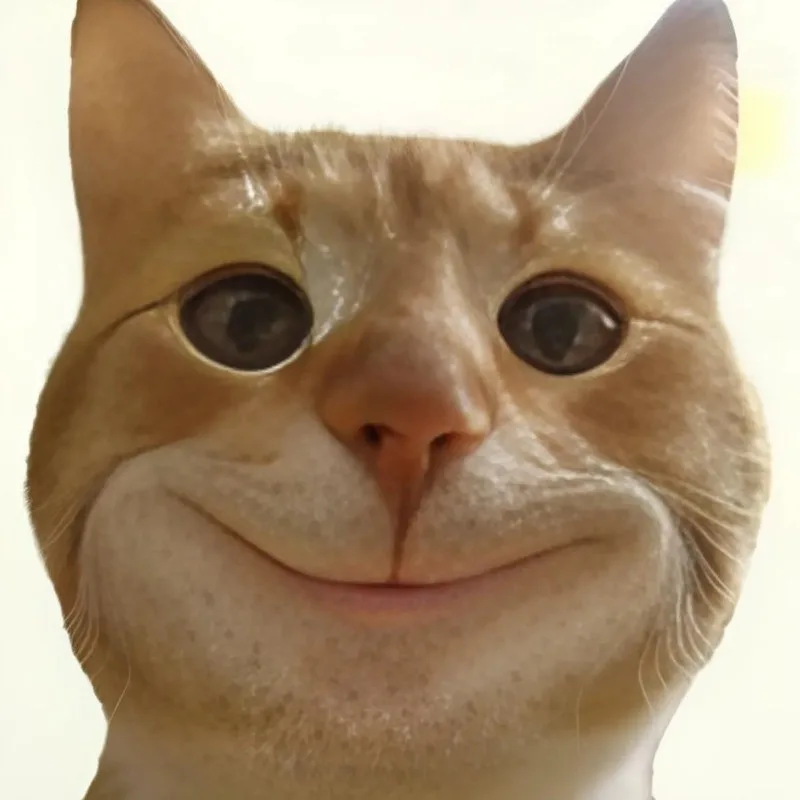 meme hihi