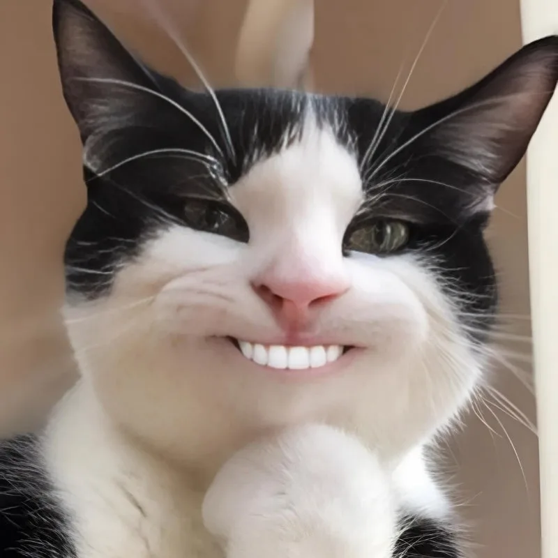 meme hihi