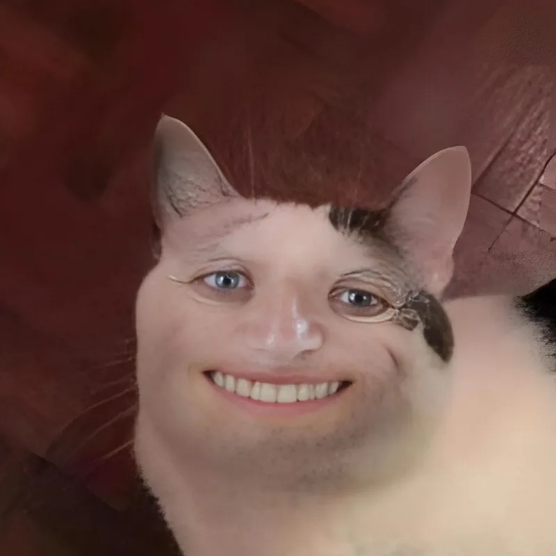 meme hihi