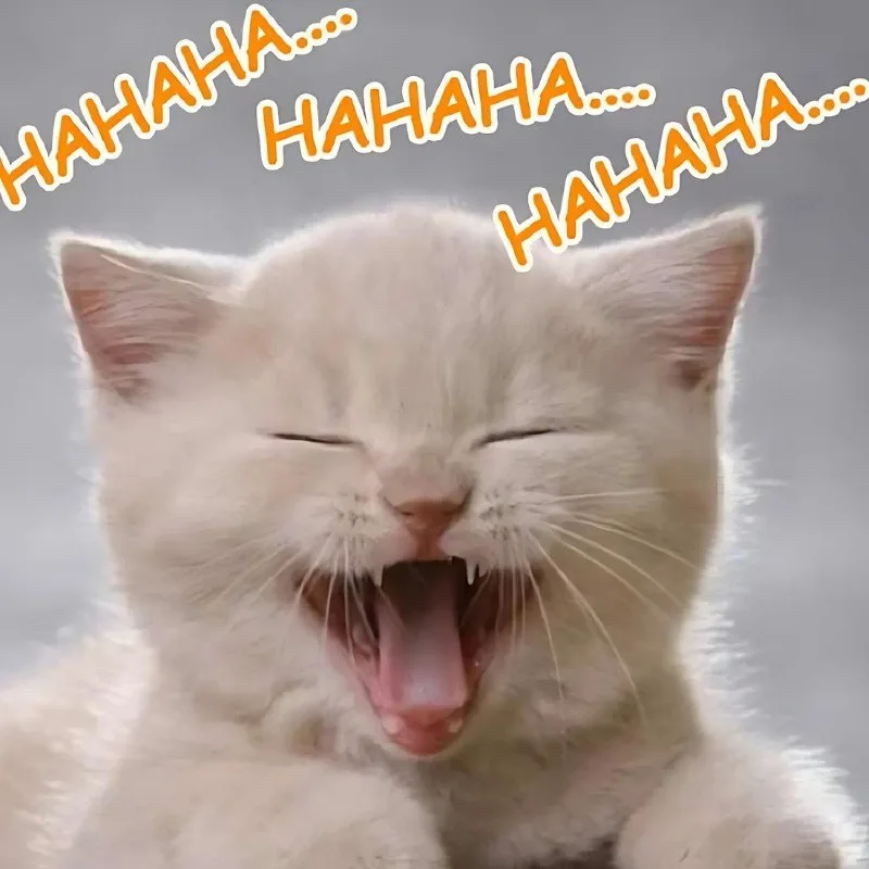 hahaha meme