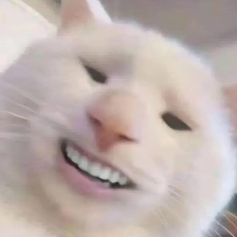 meme hihi