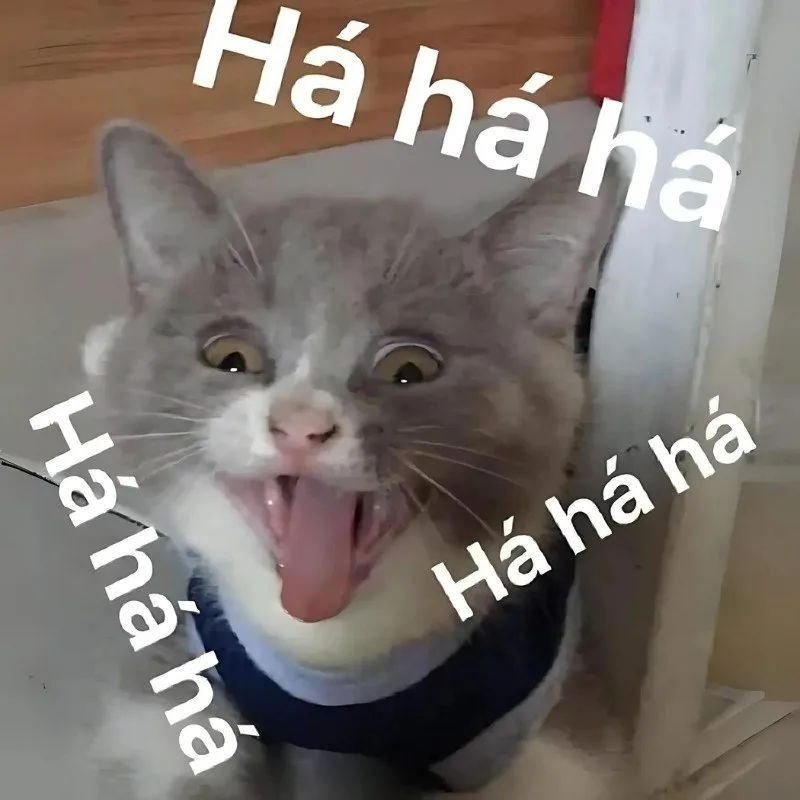 hahaha meme