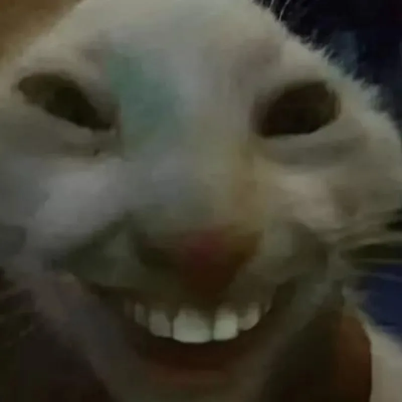 meme hihi