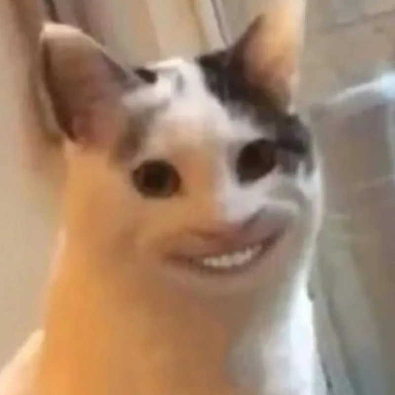 meme hihi