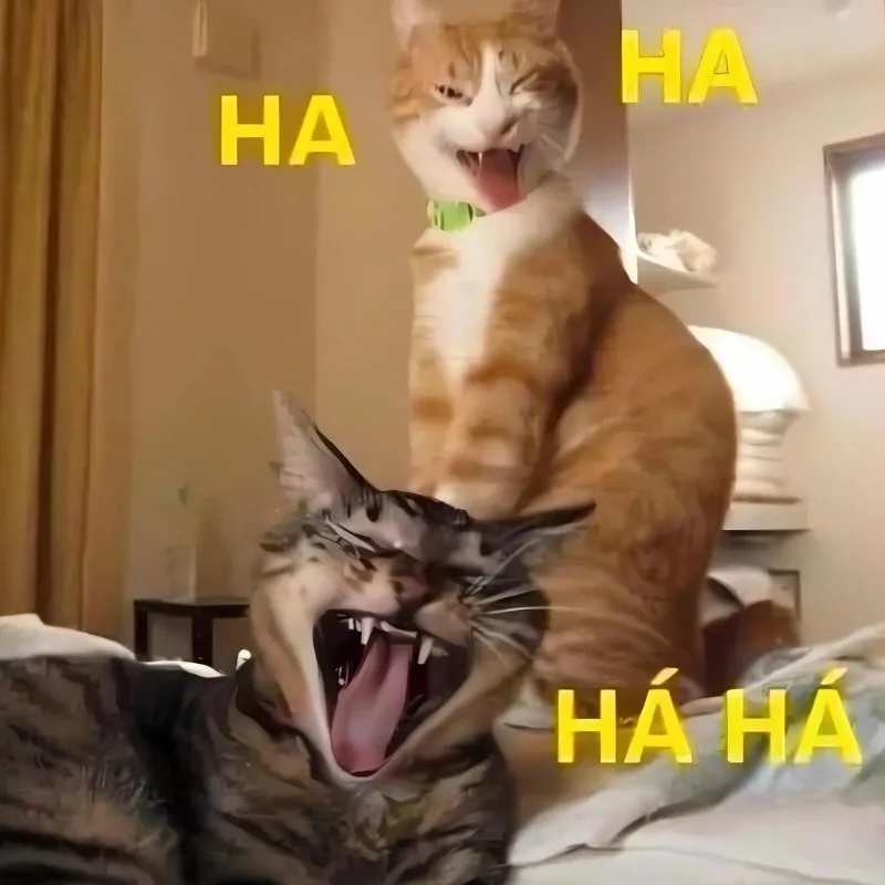 hahaha meme