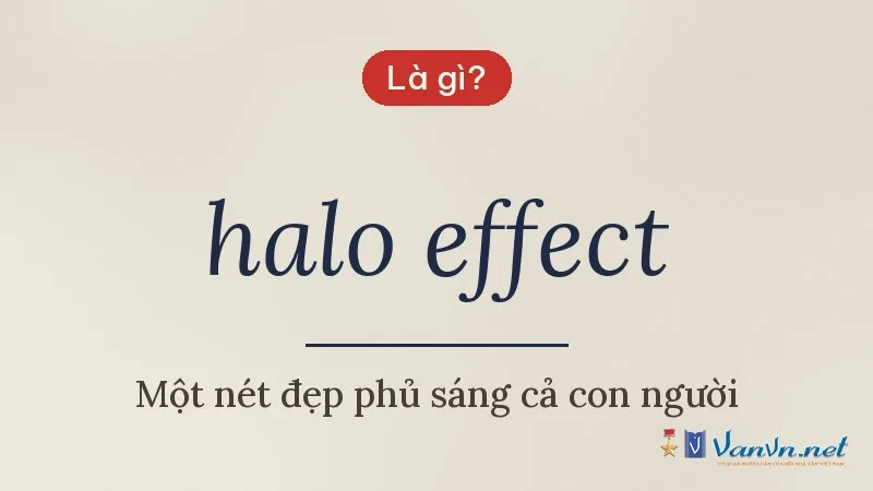 halo effect là gì
