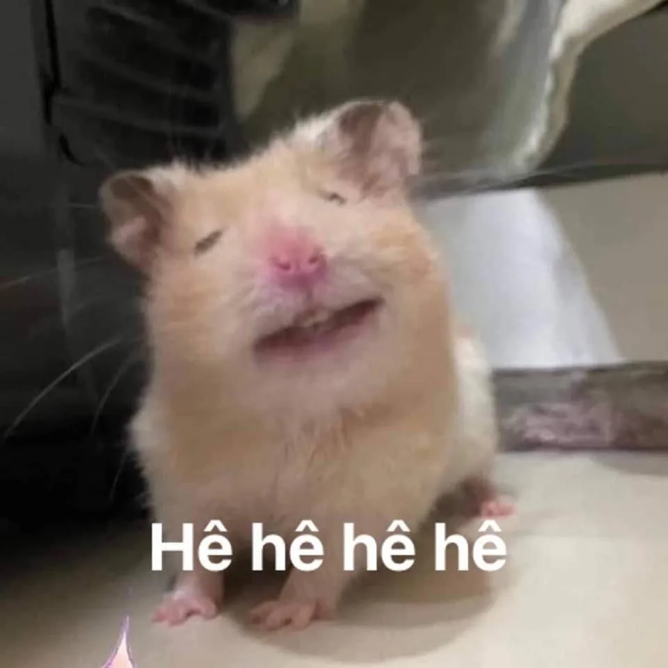 hamster meme vô tri