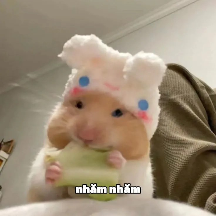 hamster meme cute