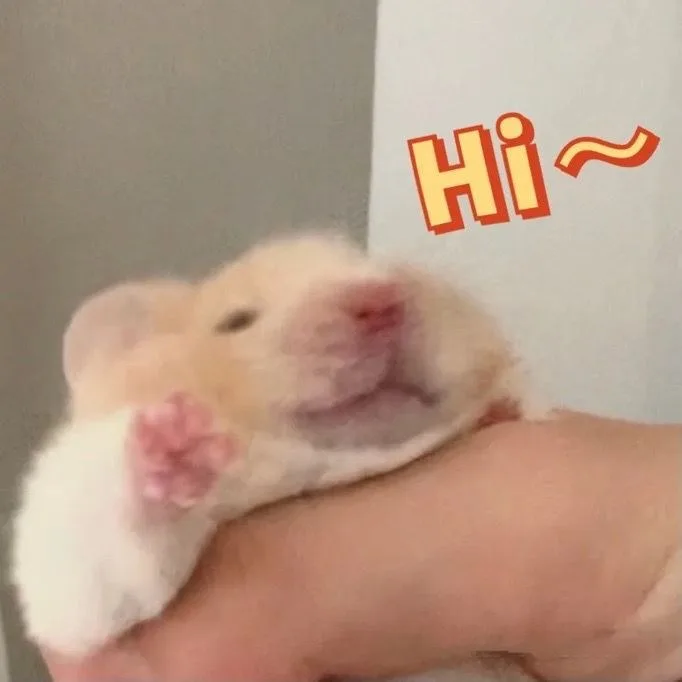 hamster meme cute