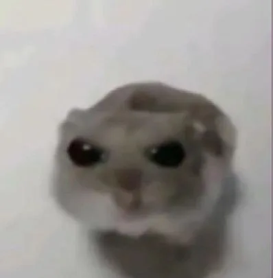 sad hamster meme