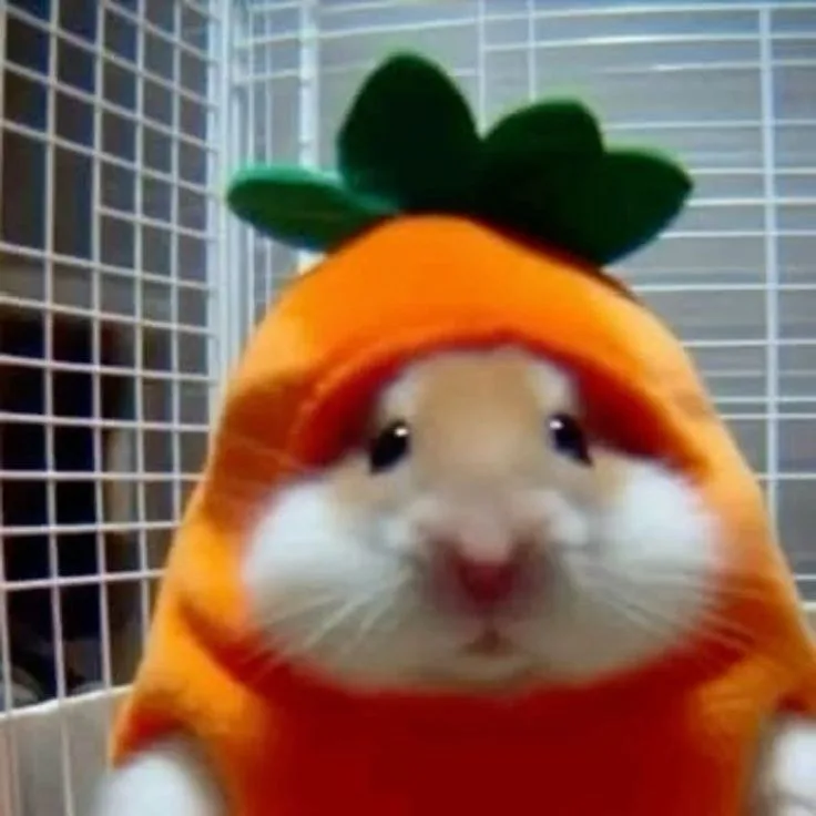 hamster meme cute