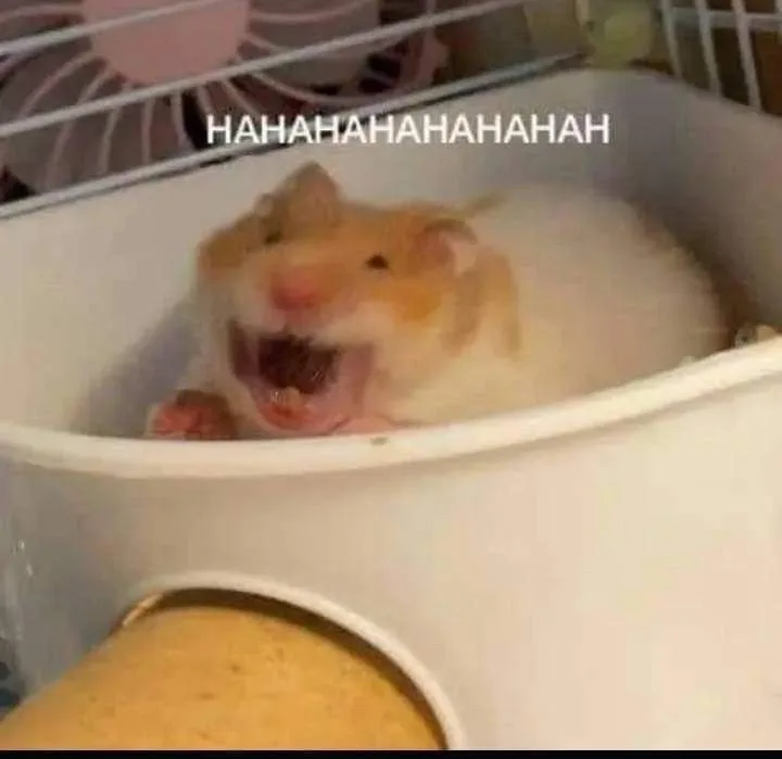 hamster meme vô tri