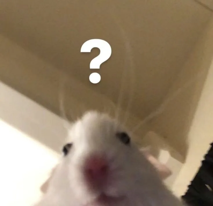 hamster meme vô tri