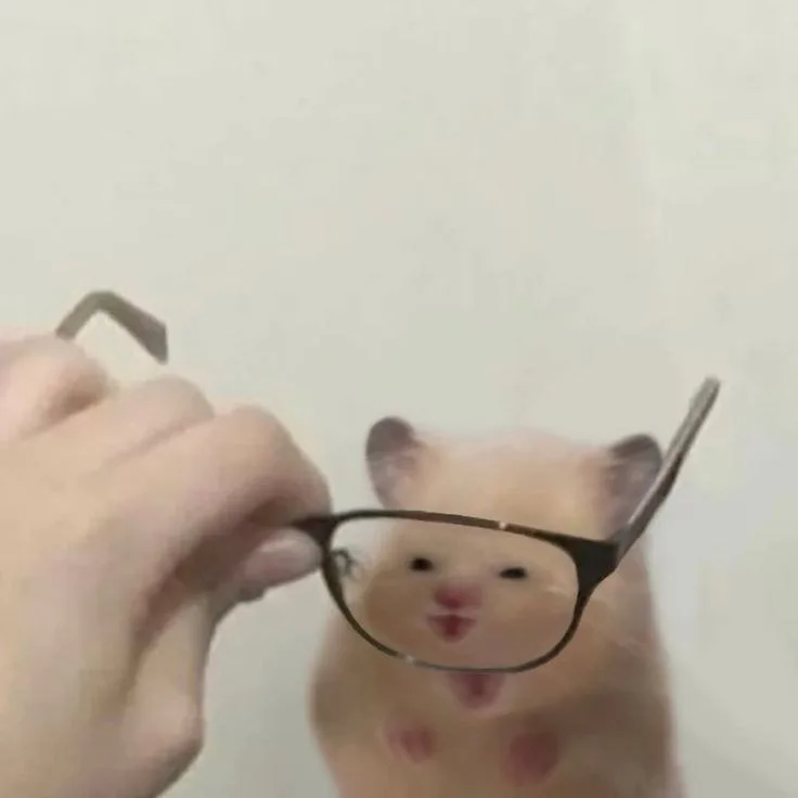 hamster meme cute