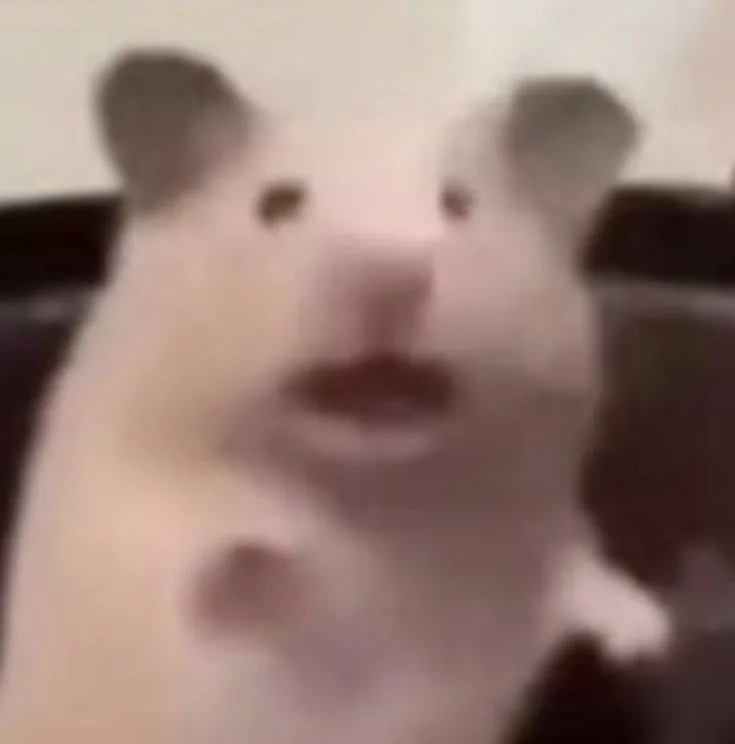 sad hamster meme