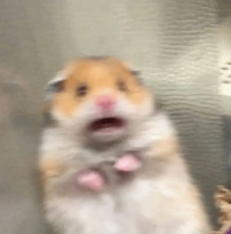 sad hamster meme