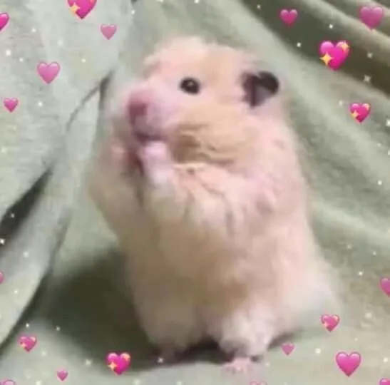 hamster meme cute