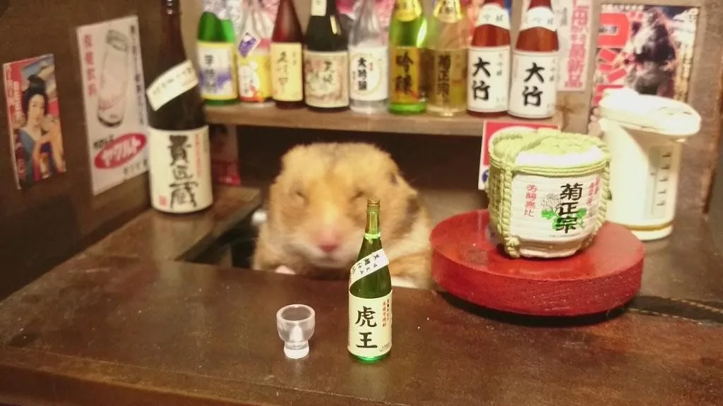 meme chuột hamster