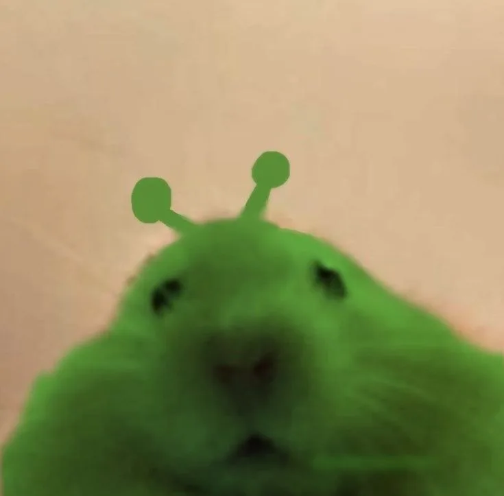 hamster meme vô tri