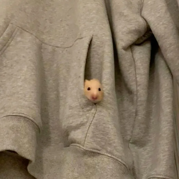 hamster meme cute