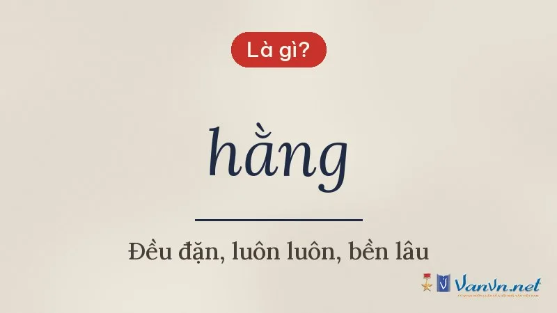 hằng là gì