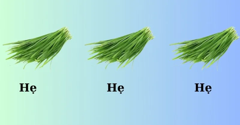 hẹ hẹ hẹ meme
