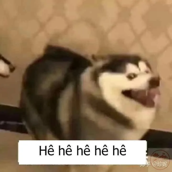 meme cười hẹ hẹ hẹ