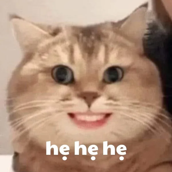 hẹ hẹ hẹ meme