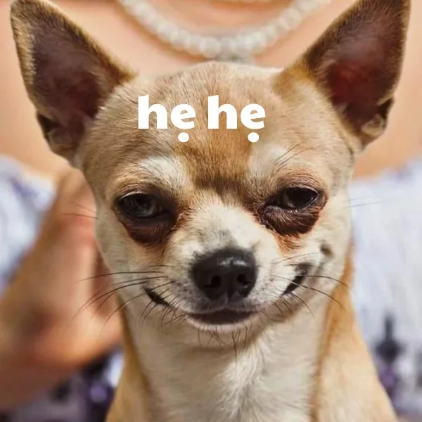 hẹ hẹ hẹ meme
