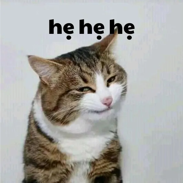 hẹ hẹ hẹ meme