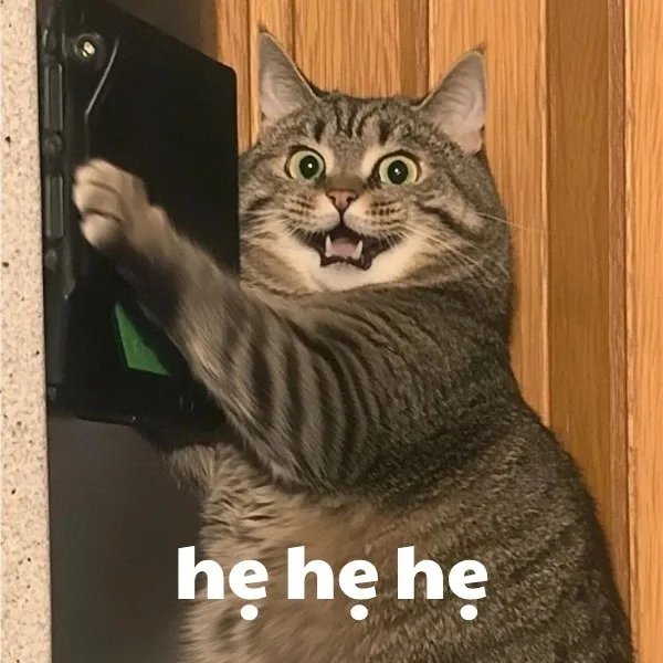 hẹ hẹ hẹ meme