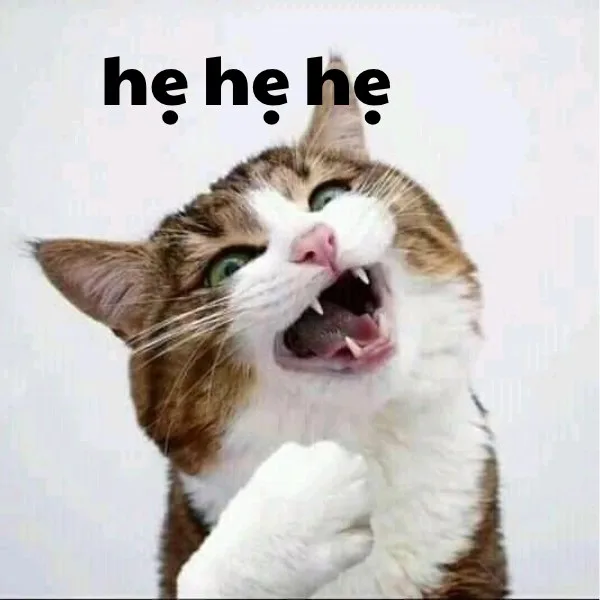 hẹ hẹ hẹ meme