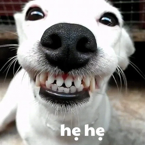 hẹ hẹ hẹ meme