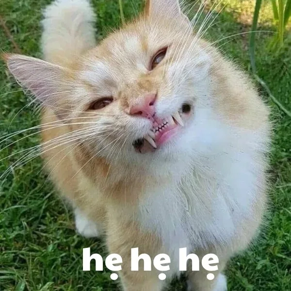 hẹ hẹ hẹ meme