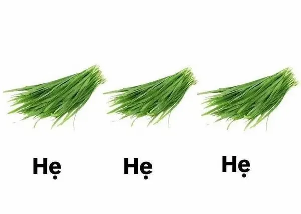hẹ hẹ hẹ meme