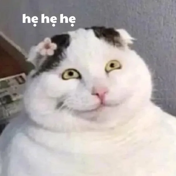 hẹ hẹ hẹ meme