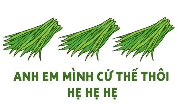 hẹ hẹ hẹ meme