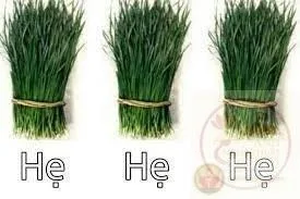 hẹ hẹ hẹ meme
