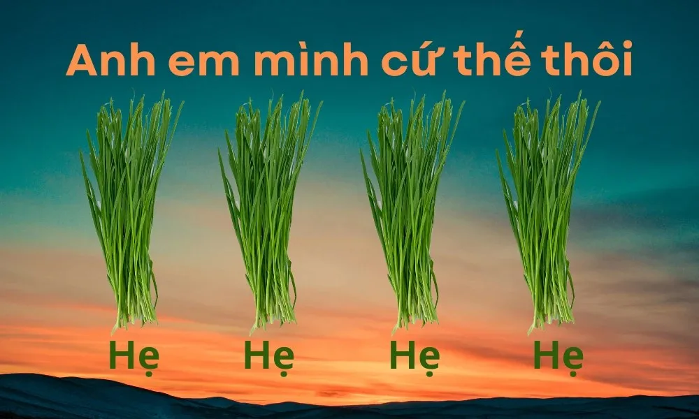 cứ thế thôi hẹ hẹ hẹ meme