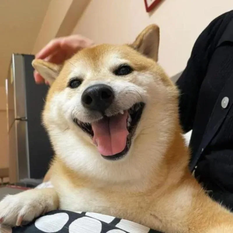 hehe meme