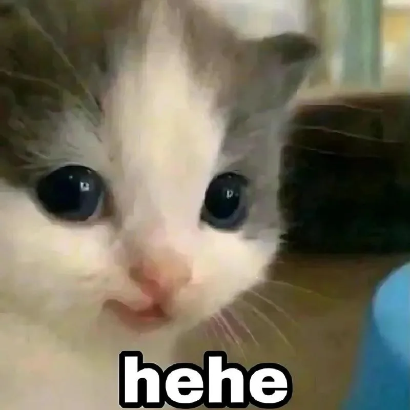 hehe meme