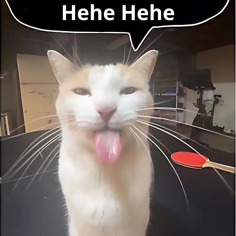 hehe meme