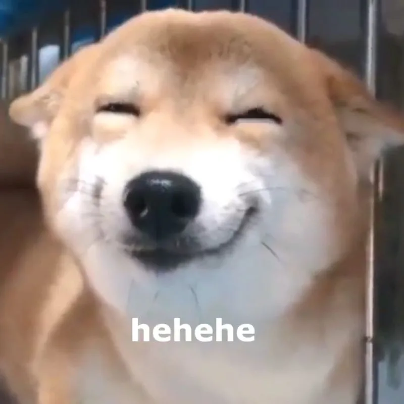 hehe meme
