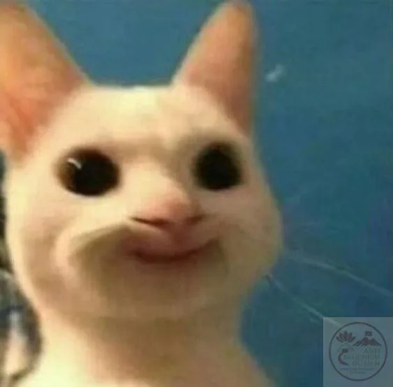 hehe meme