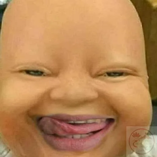 hehe meme