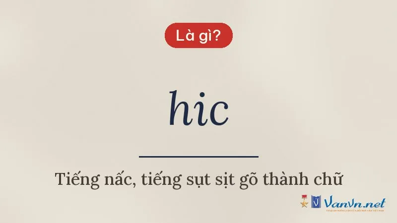 hic là gì